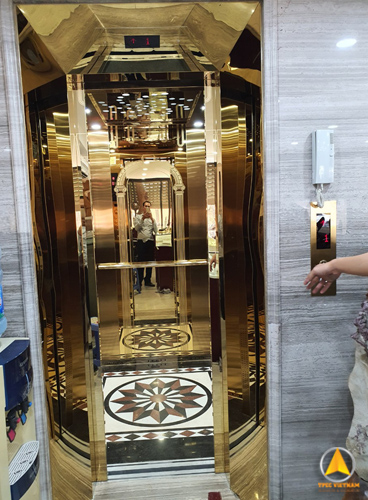 Thang máy gia đình 630kg hoa văn vàng hình cổng chào giá 350 triệu