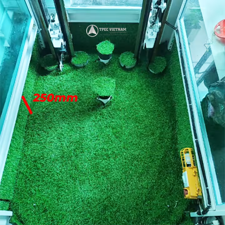 Hó pit thang máy dạng hố nông