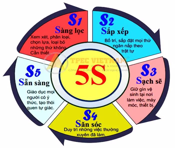 Lắp đặt thang máy tại TPEC áp dụng quy trình 5S trong thi công lắp đặt